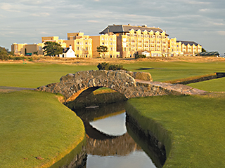 HOSPITALITY AND REAL ESTATE