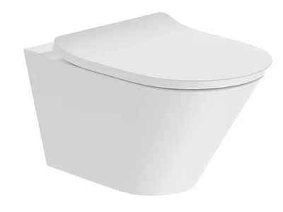 Hygienic wall-mounted toilet